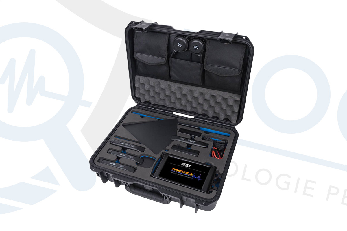 REI Mesa analizzatore di spettro portatile professionale