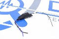 MICROSPIE AUDIO WIFI
