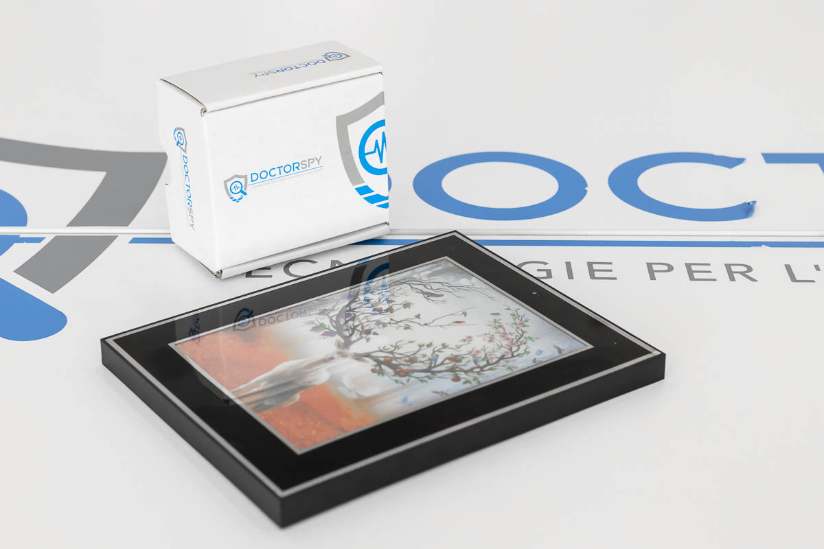 Spy camera in alta definizione con motion detection in cornice CAM.10