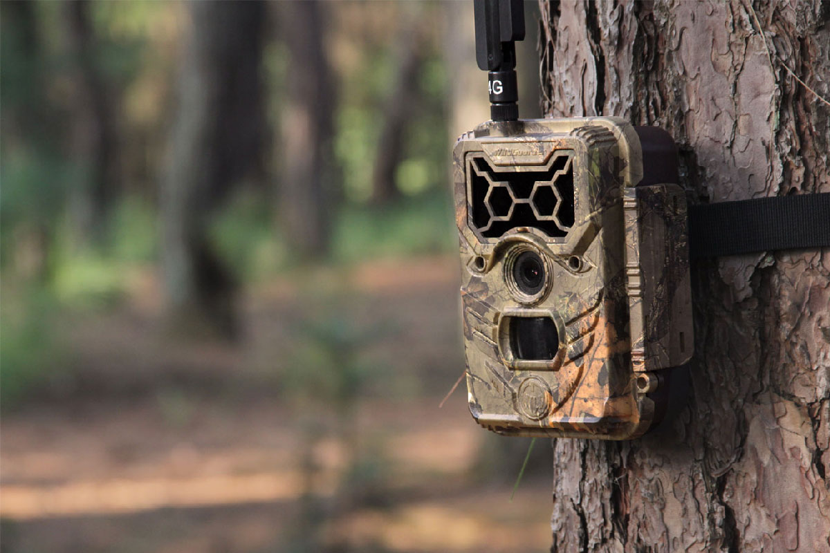 4 accessori per fototrappola professionale